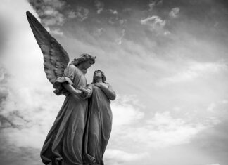 Jaki kolor kwiatów na cmentarz? Jaki kolor kwiatów na cmentarz?