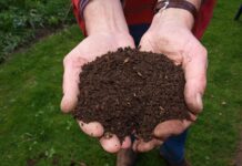 Co jest lepsze kompost czy obornik?