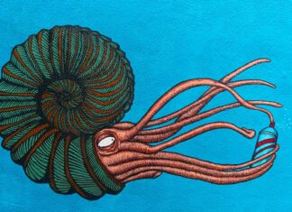 Czy w syfonie powinna stać woda?