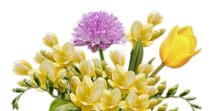 Jak się robi wiązanki?