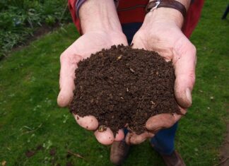 Czy kompost trzeba mieszać z ziemią?