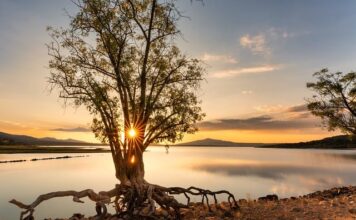 Co zrobić ze starym zbiornikiem LPG?