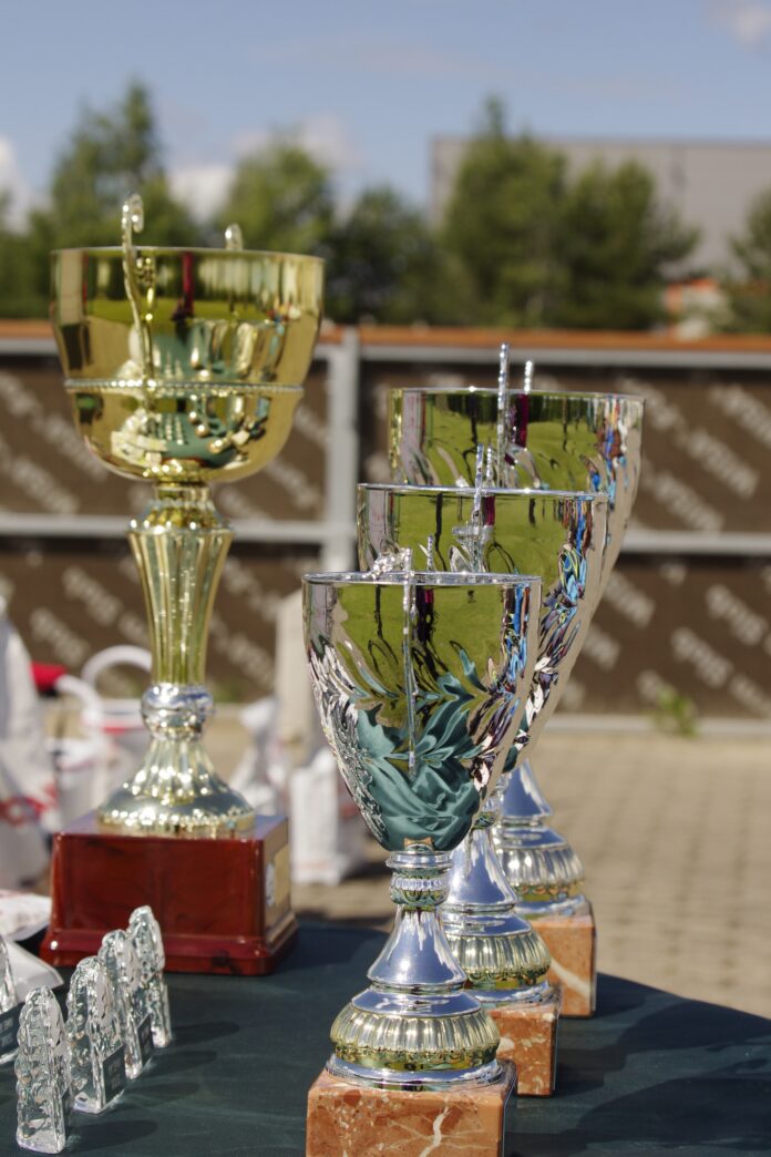 statuetki biznesowe 2 statuetki biznesowe